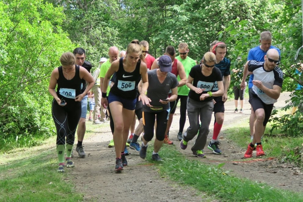 Hlauparar ræstir í skógarhlaupinu. Mynd: Þór Þorfinnsson.