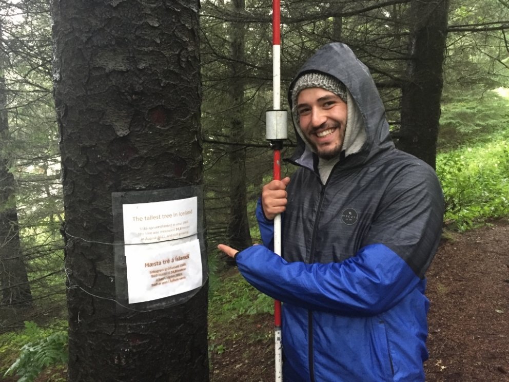 Rodrigo Figueiredo, skógfræðinemi frá Lissabon, stendur hér við hæsta tré Íslands og brosir enda van&hellip;