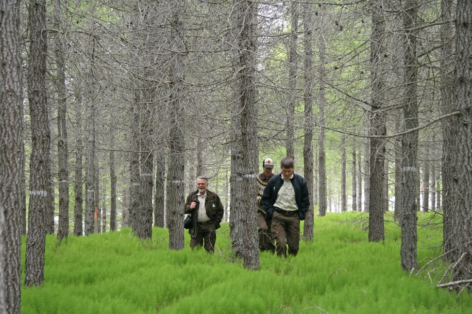 f.v. Jón Loftsson, skógræktarstjóri, Lárus Heiðarsson, skógræktarráðunautur og Þór Þorfinnsson, skóg&hellip;