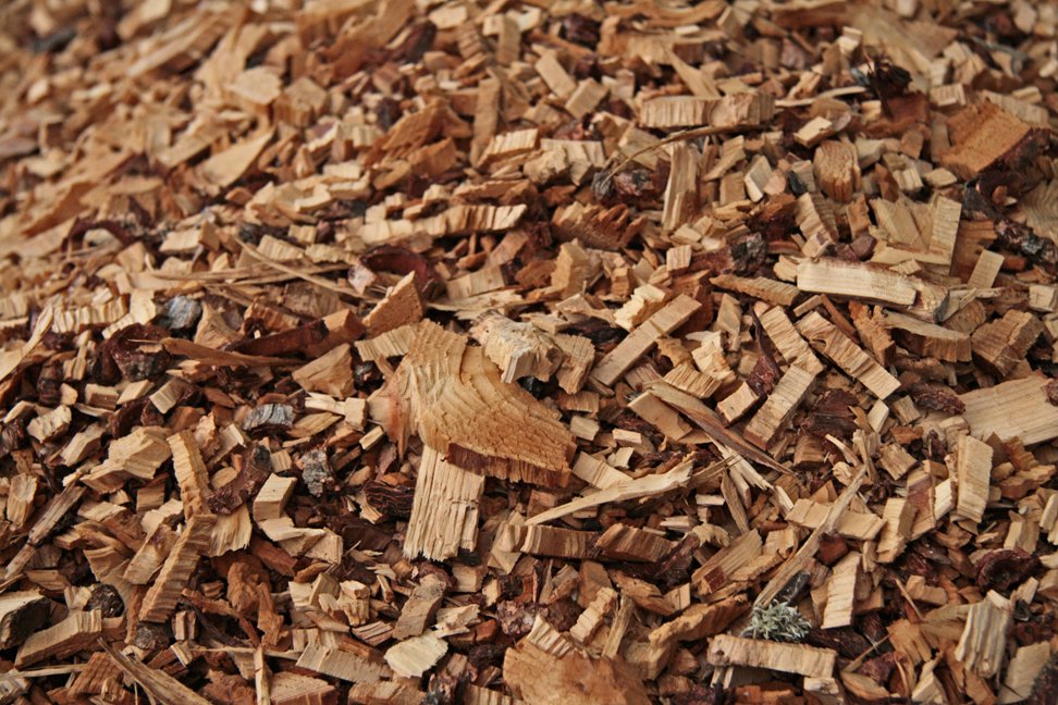 (mynd: Esther Ösp Gunnarsdóttir)