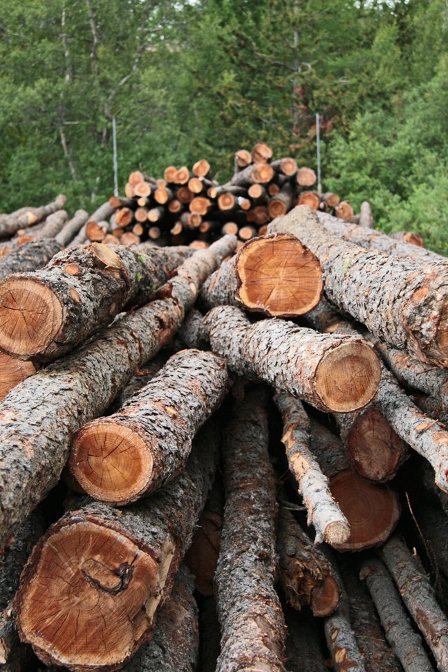 (mynd: Esther Ösp Gunnarsdóttir)