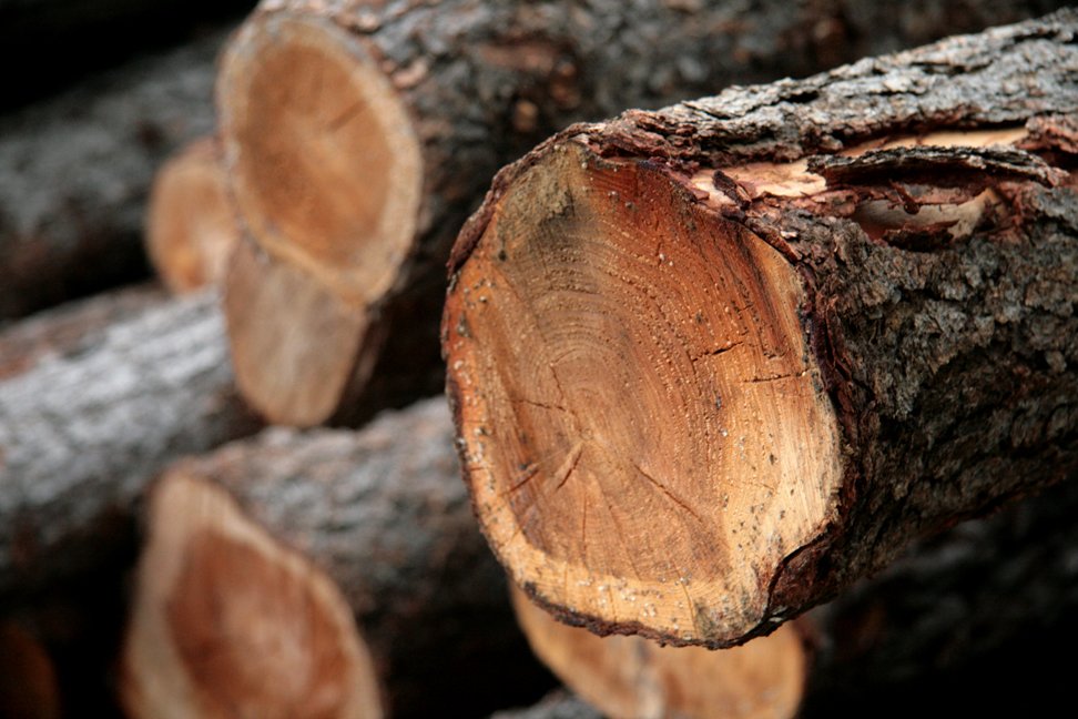 (mynd: Esther Ösp Gunnarsdóttir)