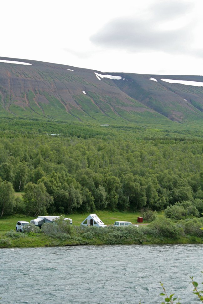Opinn dagur í Vaglaskógi