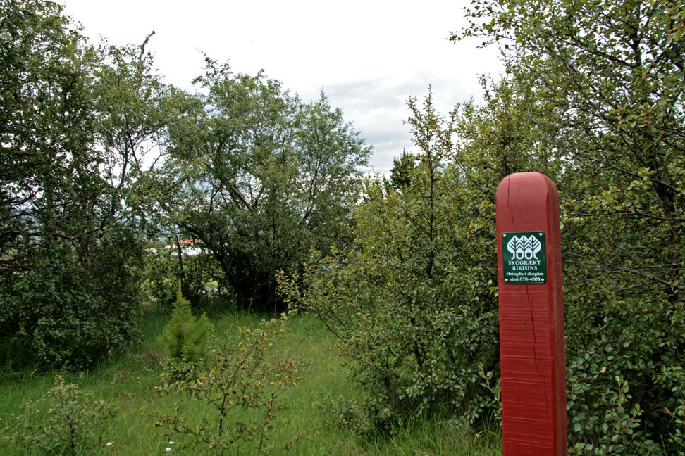 (mynd: Esther Ösp Gunnarsdóttir)