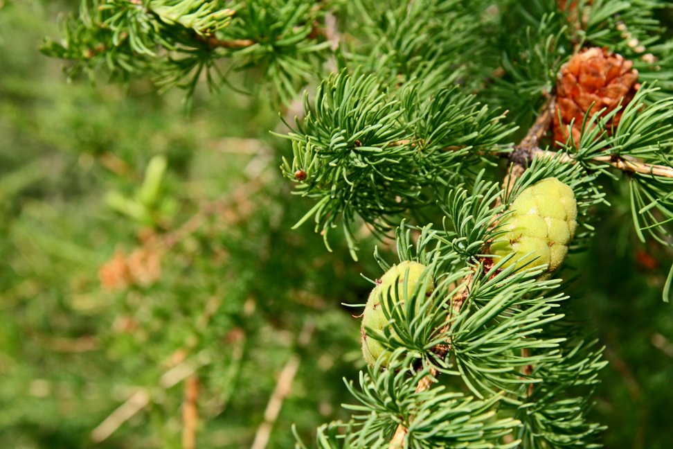 (mynd: Esther Ösp Gunnarsdóttir)