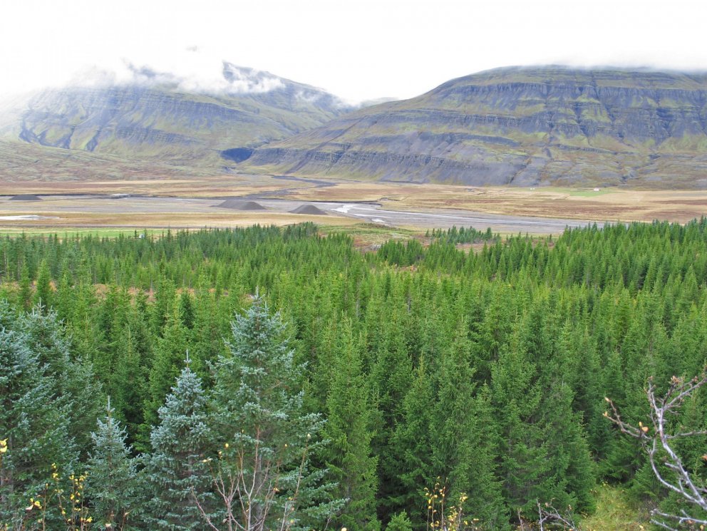 (mynd: Þór Þorfinnsson)