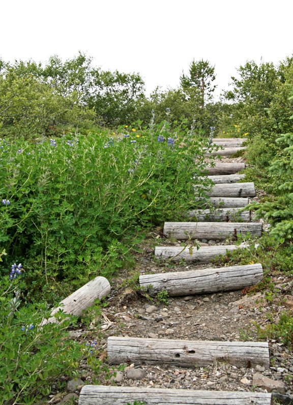 (mynd: Esther Ösp Gunnarsdóttir)