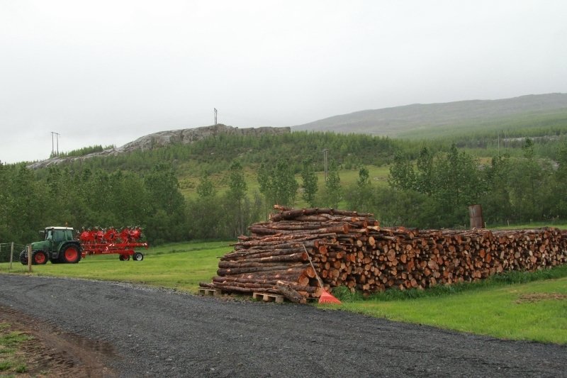 Ein leiðin til að minnka kolefnisfótspor búreksturs er að rækta skóg og nýta viðinn sem orkugjafa, f…