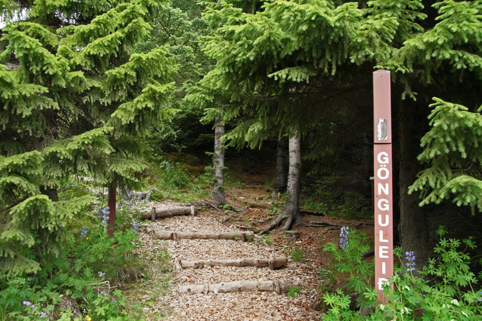 (mynd: Esther Ösp Gunnarsdóttir)