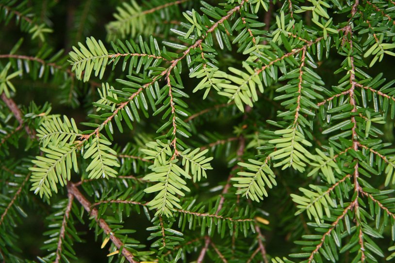 (mynd: Esther Ösp Gunnarsdóttir)