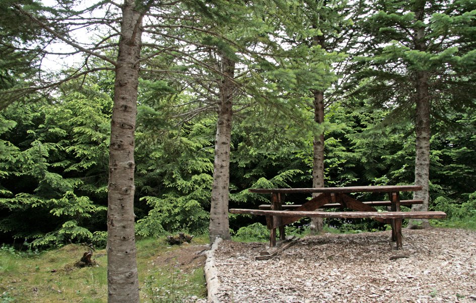 (mynd: Esther Ösp Gunnarsdóttir)