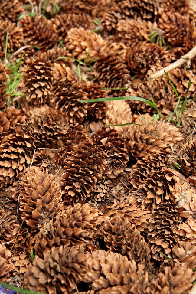 (mynd: Esther Ösp Gunnarsdóttir)