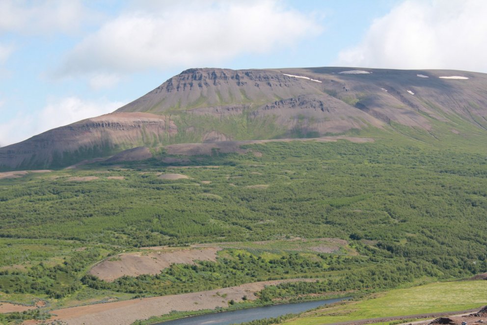 Vaglaskógur. Hálshnjúkur er hnjúkurinn nyrst á Vaglafjalli ofan skógarins. Ljósmynd: Pétur Halldórss…