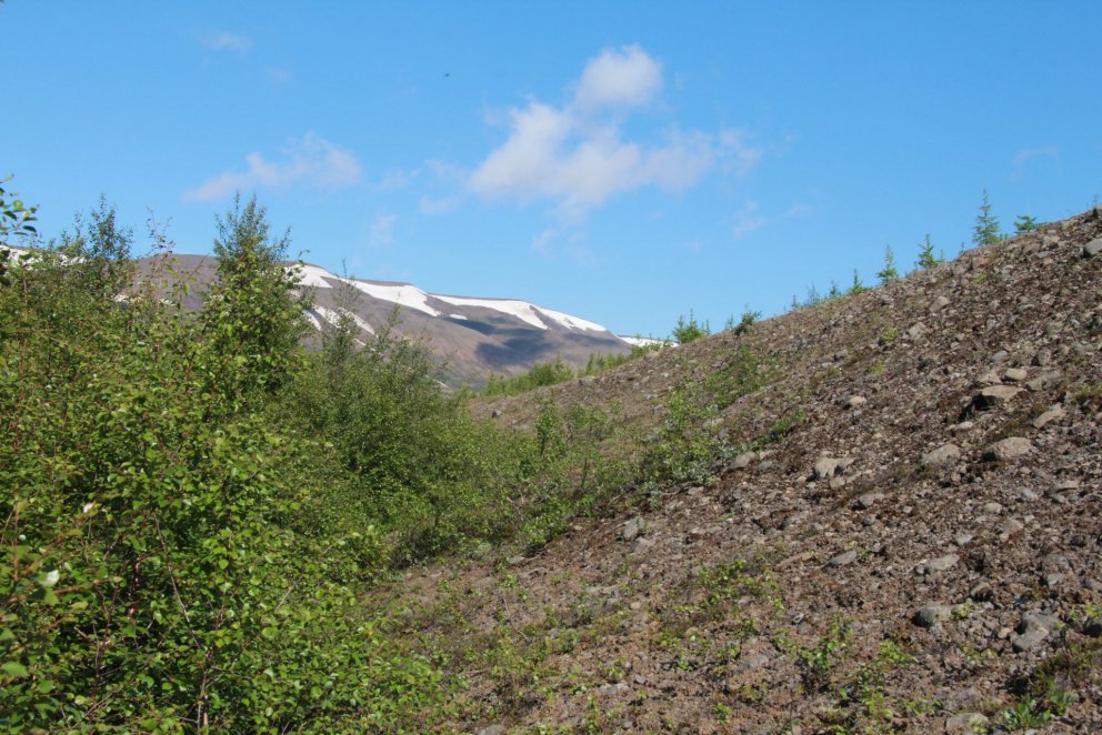 Land að gróa upp. Ljósmynd Pétur Halldórsson.
