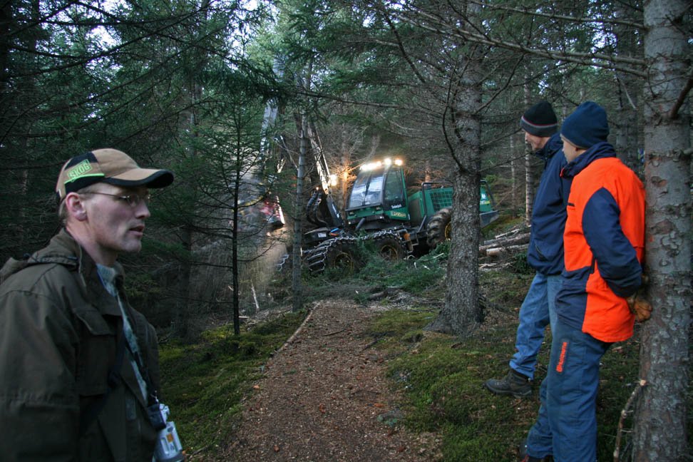 Skógarhöggsvél ræst aftur