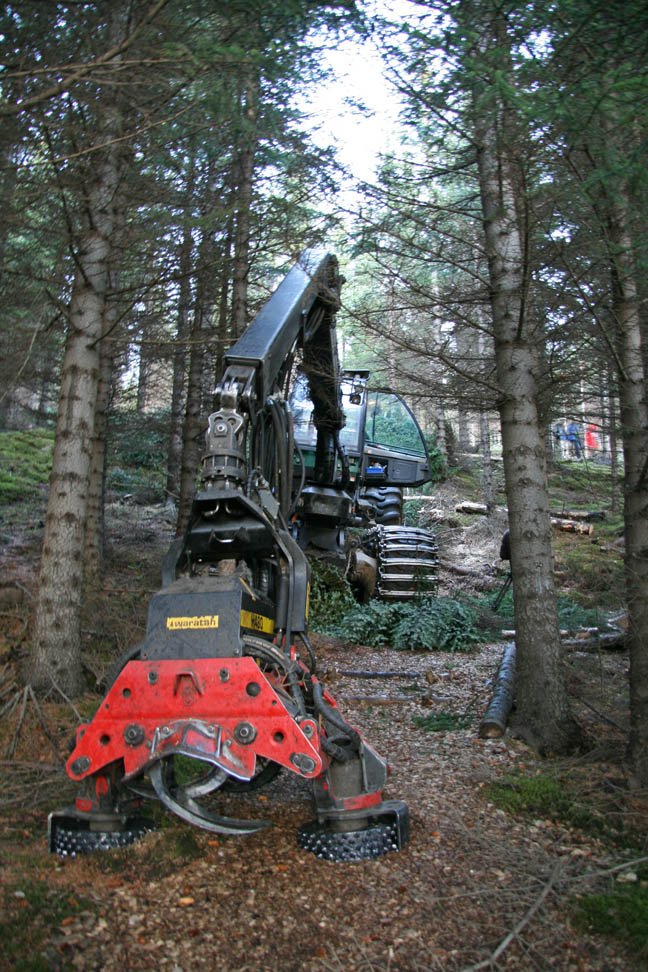 Skógarhöggsvél í Skorradal