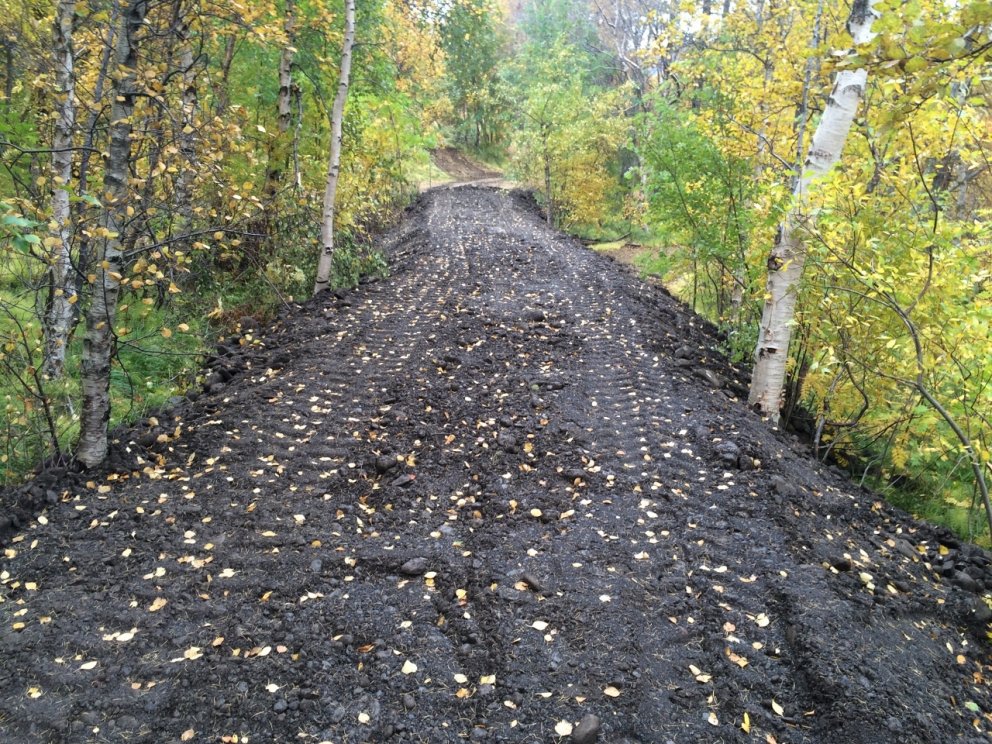 Birki er áberandi í Kristnesskógi en auk þess eru helstu tegundirnar sem sjást af stígnum sitkagreni&hellip;