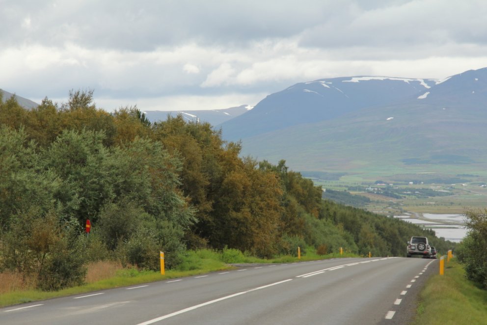 Vaðlareitur til suðurs af þjóðveginum