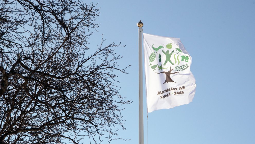 Öskjuhlíðardagurinn