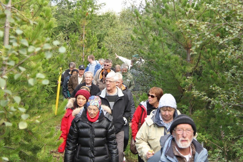 Skógræktarfólk í skógargöngu við Sellæk norðan Akrafjalls á aðalfundinum 2014.