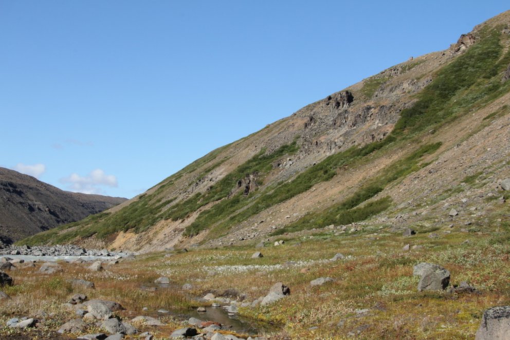 Sums staðar er birkið í litlum en stækkandi flákum í brekkunum ofan árinnar