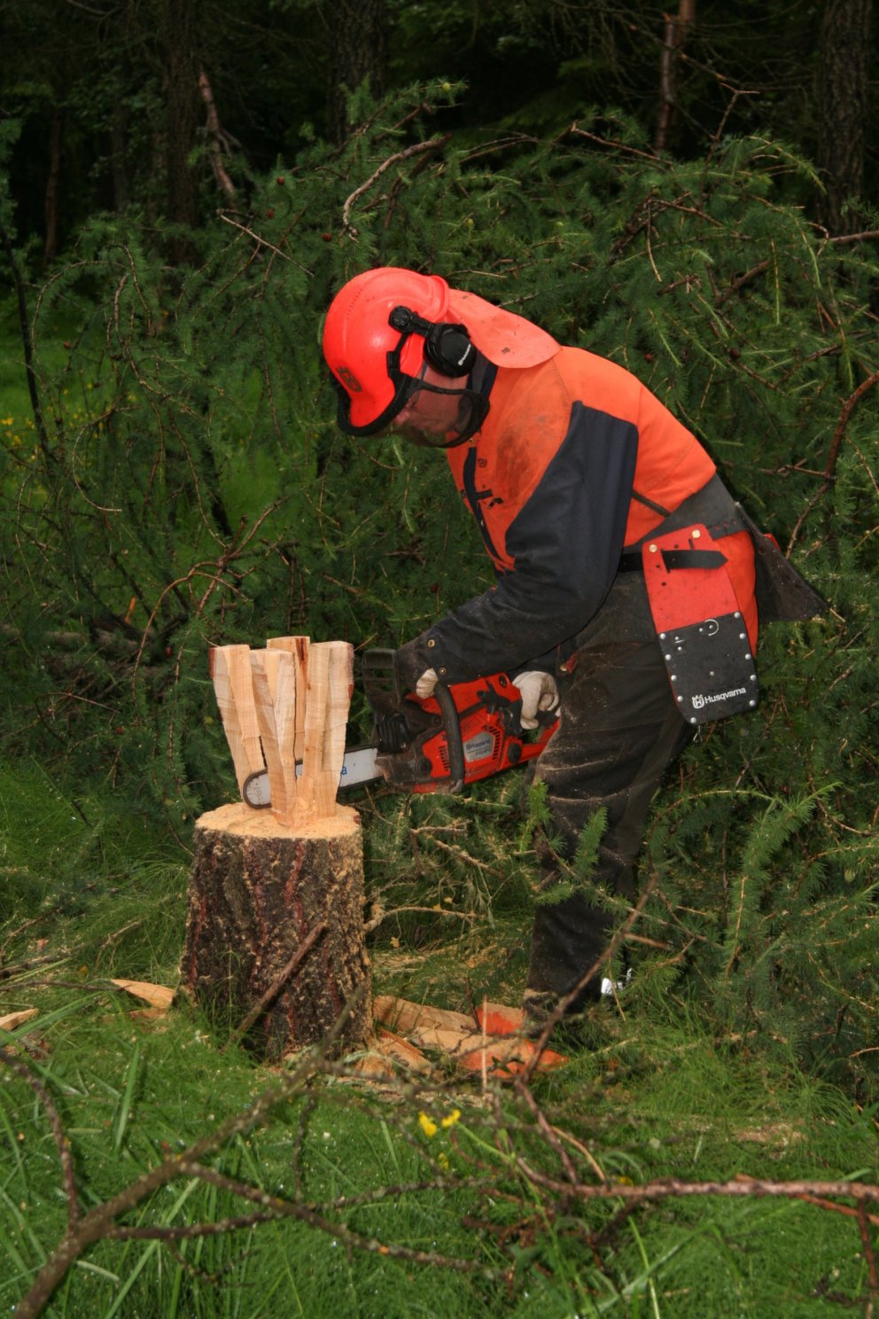 Áhugaverð námskeið fram undan