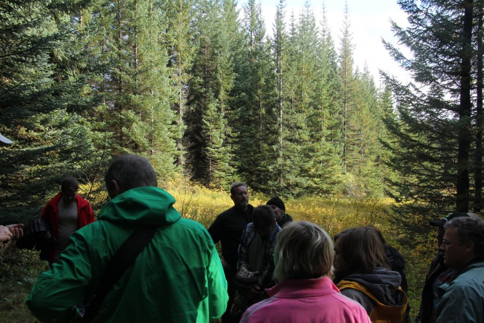Stefnumótadagurinn endar með skógarferð og veislu í Haukadalsskógi. Ljósmynd: Pétur Halldórsson