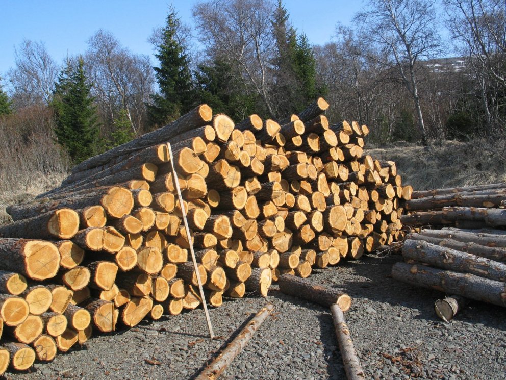 Opinber heimsókn ráðherra til Skógræktar ríkisins