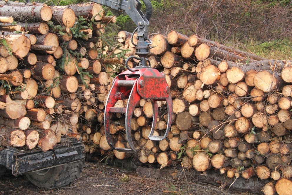 Kló á viðarvagni sem notuð er til að hlaða bolunum á vagninn í skóginum og afferma í stafla