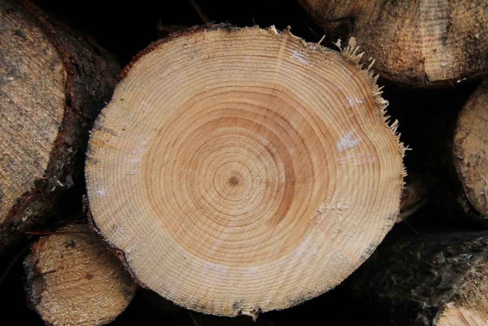 Grenibolur í stæðu bíður vinnslu.