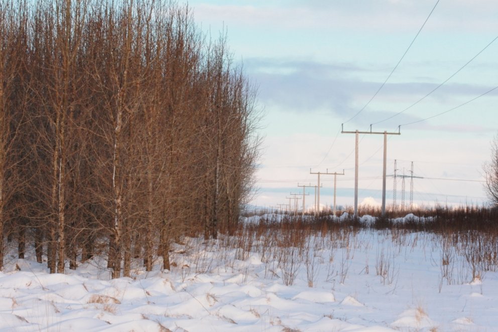 Í verkefninu Mýrvið er mæld öndun lofttegunda að og frá vistkerfi asparskógarins í Sandlækjarmýri í &hellip;