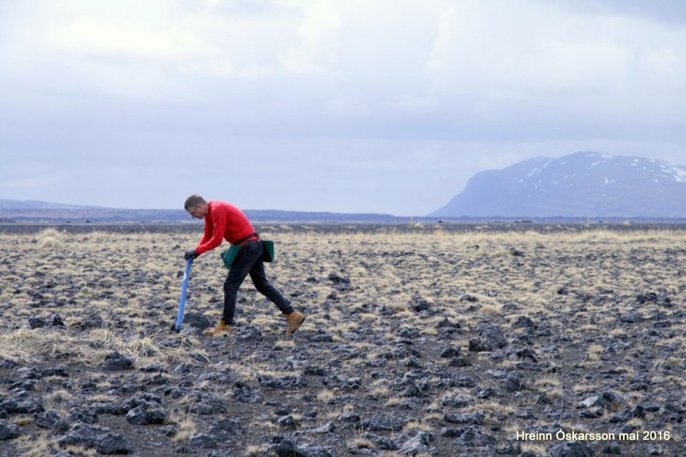 Gróðursetning á Hekluskógasvæðinu. Um 200.000 birkiplöntur verða gróðursettar á vegum Hekluskóga í v…