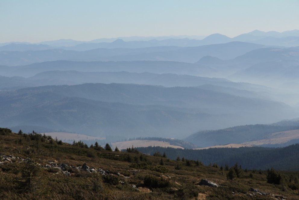 Skógi vaxið fjalllendi í norðaustanverðri Rúmeníu.