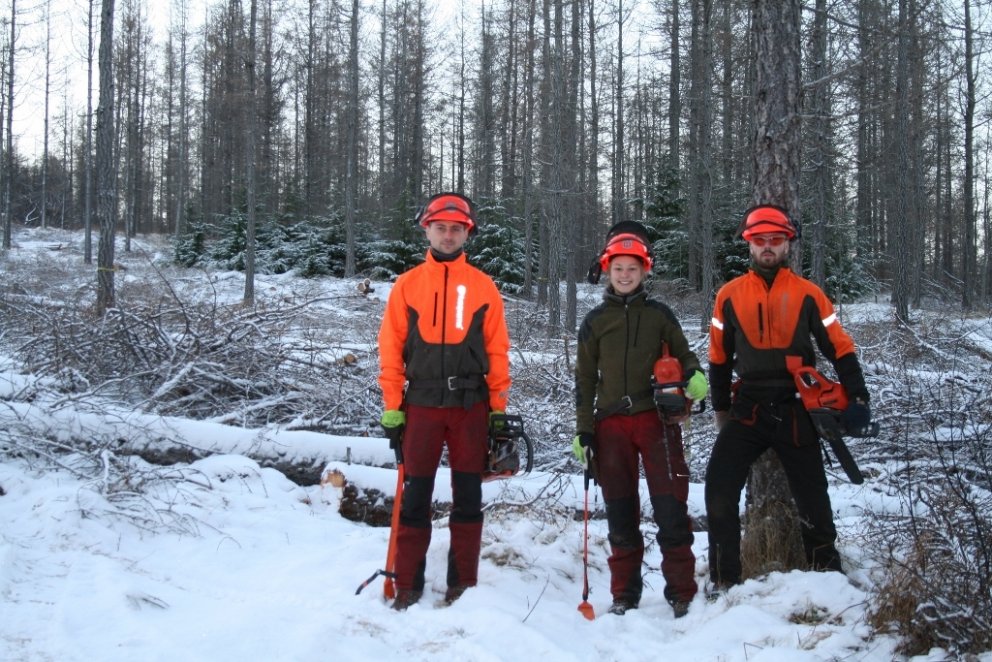 Þessir knáu skógarhöggsmenn voru að störfum í Jónsskógi í morgun, dönsku nemarnir Mathias og Freyja,&hellip;