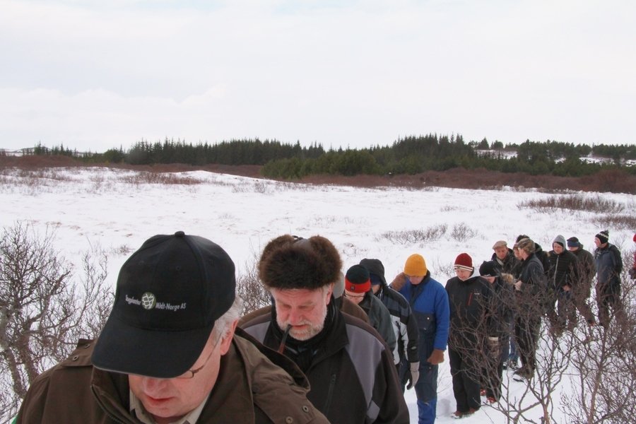 Skógræktarfólk gengur til skógar.