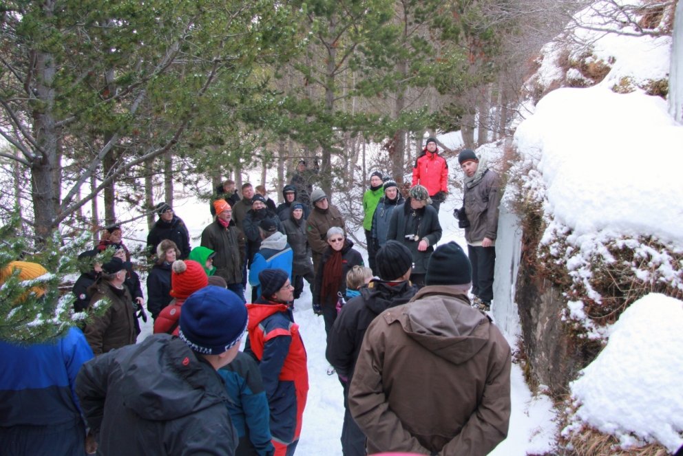 Skógurinn hentar til útiveru á öllum árstímum. Hér er fólk í furulundi í Einkunnum á Mýrum. Mynd: Pé&hellip;