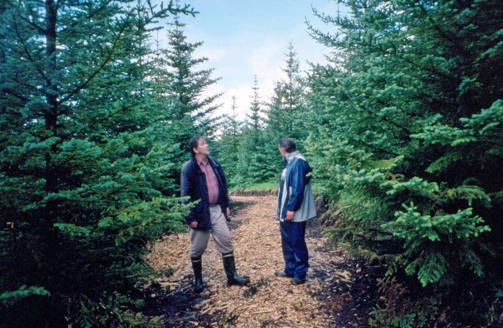 Indriði Indriðason í Tunguskógi sumarið 1994 ásamt Jóni Loftssyni skógræktarstjóra.