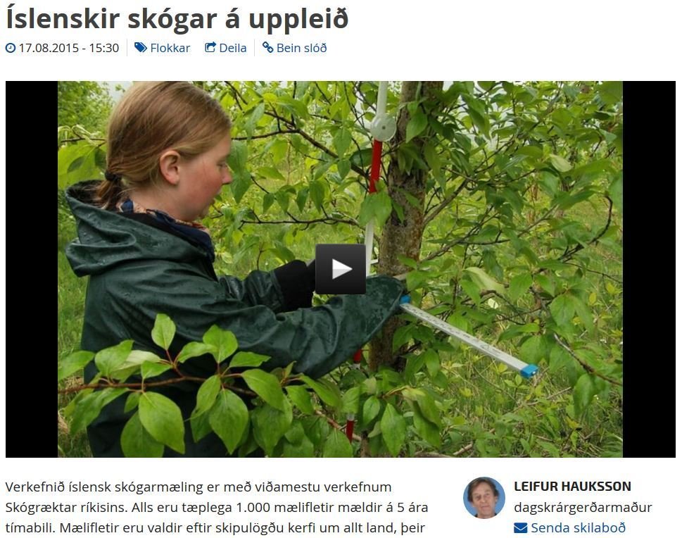 Íslensk skógarúttekt í Útvarpinu