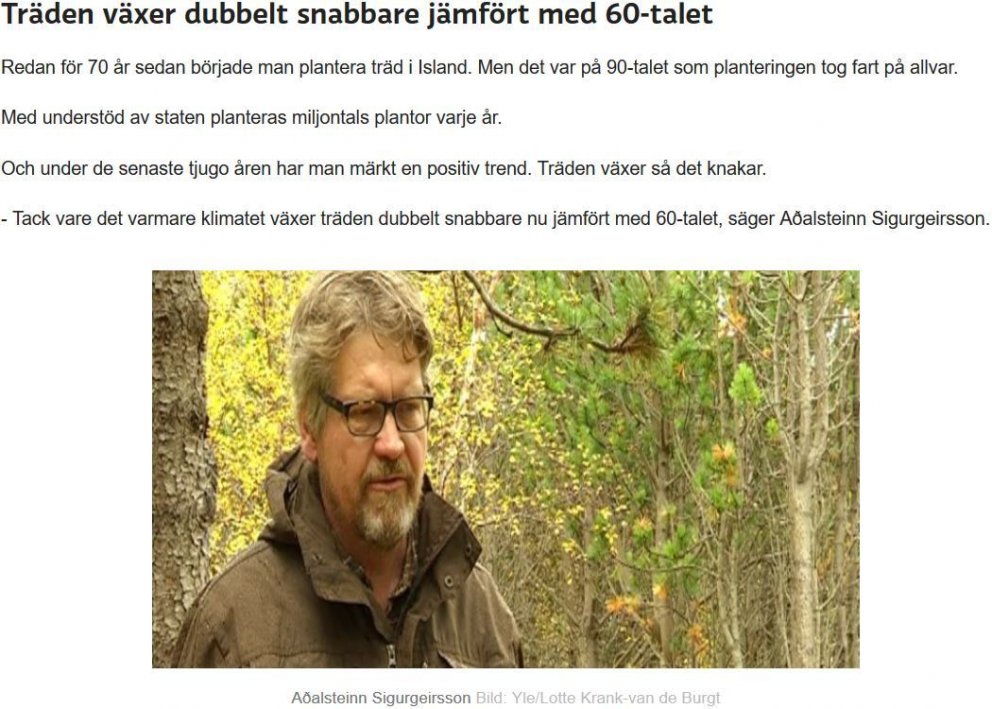 Íslenskir skógar áfram í heimspressunni