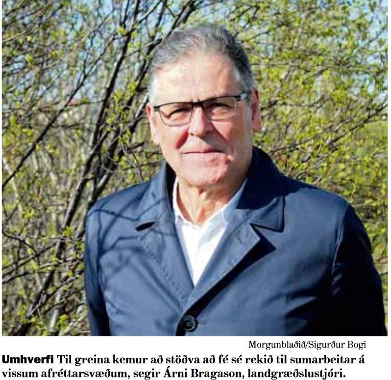 Jafnvægi náttúrunnar