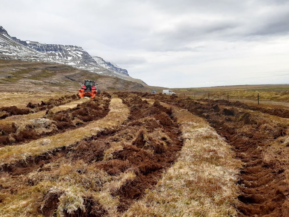 Jarðvinnsla sem þessi bætir mjög aðstæður til gróðursetningar og vaxtarskilyrði trjáplantnanna. Hún …