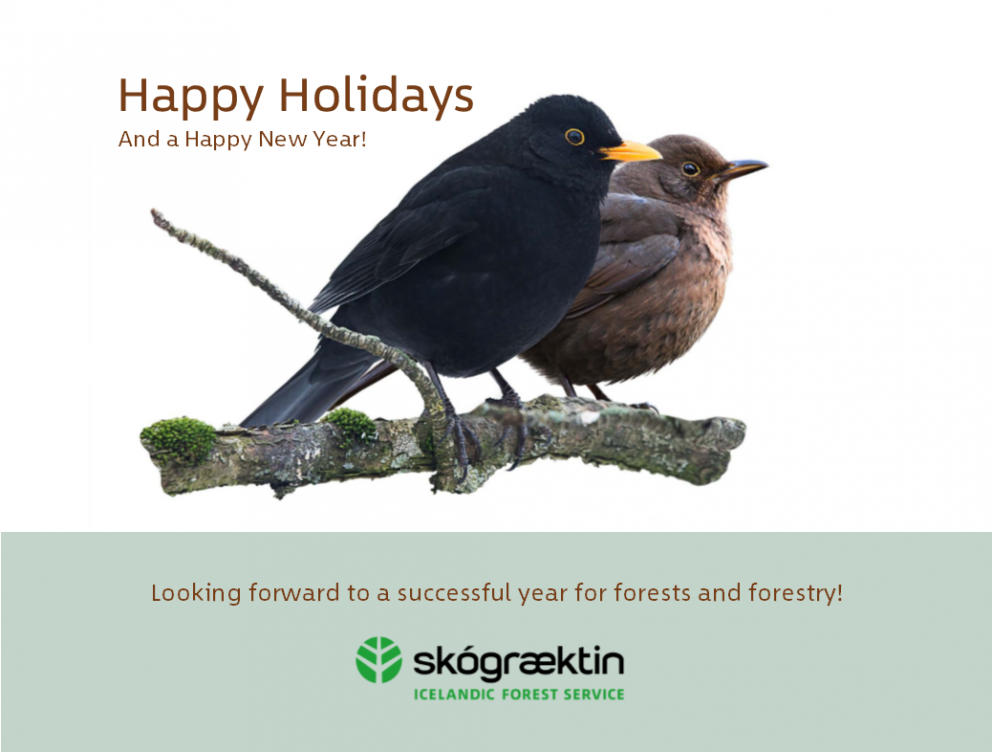 Season’s Greetings!