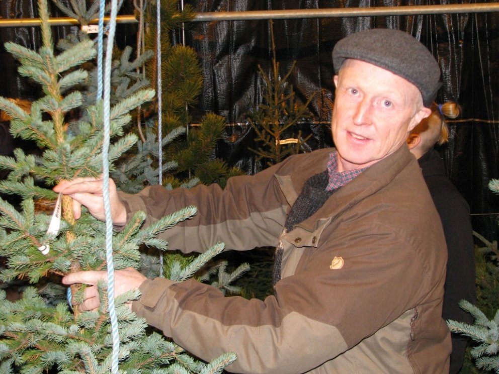 Níu skógarbændur seldu jólatré á markaðnum. Hér er einn þeirra, Jóhann Þórhallsson í Brekkugerði, að…