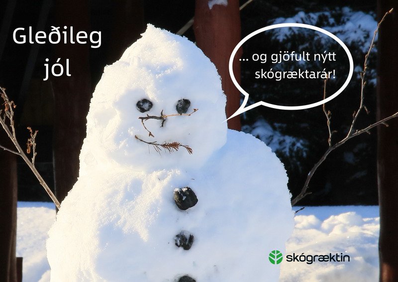 Gleðileg jól