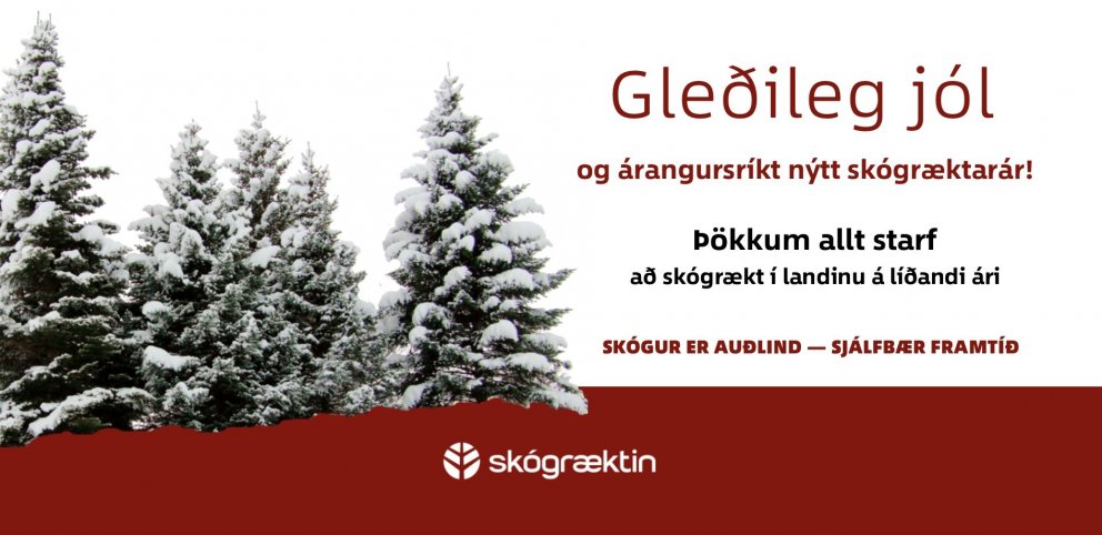 Gleðileg jól