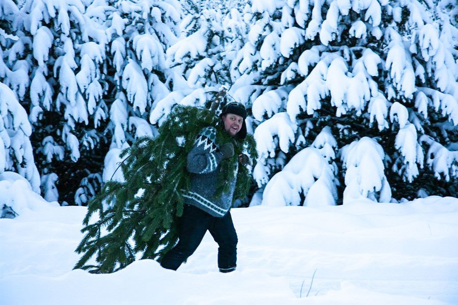 Jólastemmning í desember, eini prófessor landsins í skógvísindum, Bjarni Diðrik Sigurðsson, sækir sé…