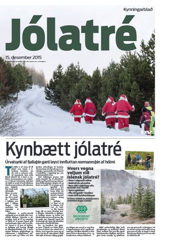 Sérblað um jólatré