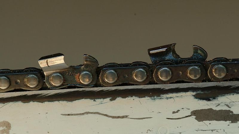 Notkun bekkja  í skógarhöggi