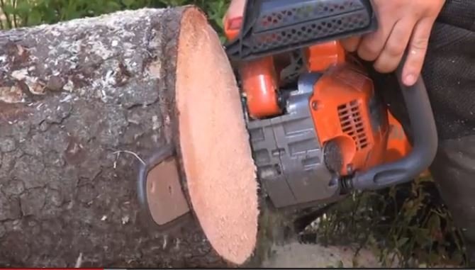 Keðjusagarnámskeið á Austurlandi í júní