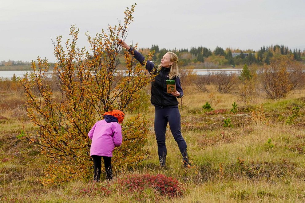 Vel tókst til við frætínsluna í Heiðmörk og nú er fólk hvatt til að koma í Guðmundarlund þriðjudagin…